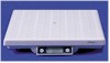 Fairbanks Ultegra Series Bench Scales / Shipping Scales