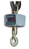 Mettler Toledo XPress Economy Crane Scales