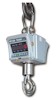 Mettler Toledo XPress Economy Crane Scales