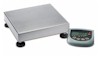 Champ SQ-Series Bench Scales