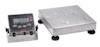 Champ SQ-Series Bench Scales