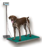 Salter Brecknell PS-Series Floor Scales - Optional Table Stand