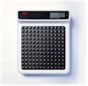 Seca 770 personal floor scale