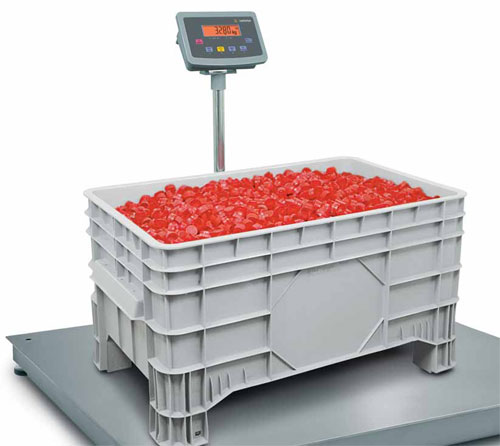 Miras Multi-Functional Bench & Floor Scales