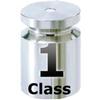 Mettler Toledo 11123469 ASTM Class 1 Calibration Weight With Certification -  1 mg