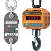 Intercomp CS3000 184758-RFX Legal for Trade Crane Scale with LED Display 2000 x 1lb