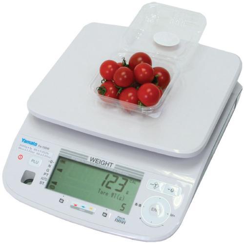 Fairbanks 93806 QuickSilver Legal for Trade 12 x 12 in Food Service Scale 50 x 0.01 lb
