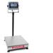 Intercomp PT300DW 100113-RF Wireless Wheel Load Scale System with Handheld Computer (Double Wide), 6-20K-120000 x 50 lb