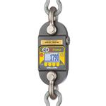 Dillon AWT05-506302 EDXtreme RED Dynamometer with two shackles & backlight &  radio-ready 2500 x 0.5 lbs 