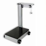 Detecto 854F-100P Mechanical Platform Scale Legal for Trade - 1000  x 0.5 lb