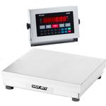 Doran 22025/12 Legal For Trade Washdown Bench Scale with 12 x 12 inch Base 25 x 0.005 lb