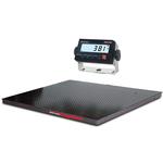 Rice Lake 219279 Roughdeck Floor Scale 4 x 4 Legal for Trade with 381 AA Indicator - 5000 x 1 lb