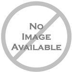 Rice Lake 71630 Ticket,Print 4-1/4x7 in 2 Part Carbonless, White Cover & Yellow Copy Attached at Top Rice Lake Scale Ticket 500/PKG