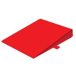 CAS RW-X200-R03 Single Ramp for RW-X200 Portable Axle Weigher 36 x 30 inch