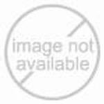 American Weigh 51016-16 Calibration Weight, 1000 g (2 x  500 g)