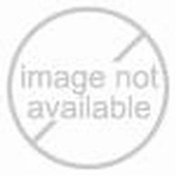 Sartorius WT1KGCLS2C ASTM Class 2 Calibration Weight, 1 kg with Cal Cert