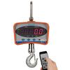 Brecknell ElectroSamson Portable Hanging Fishing Scale, 55 lb x 0.05 lb /  0.5 oz - Scales Plus