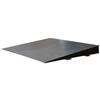 DigiWeigh ramp for DW-5500R or DW-10000R  Floor Scales